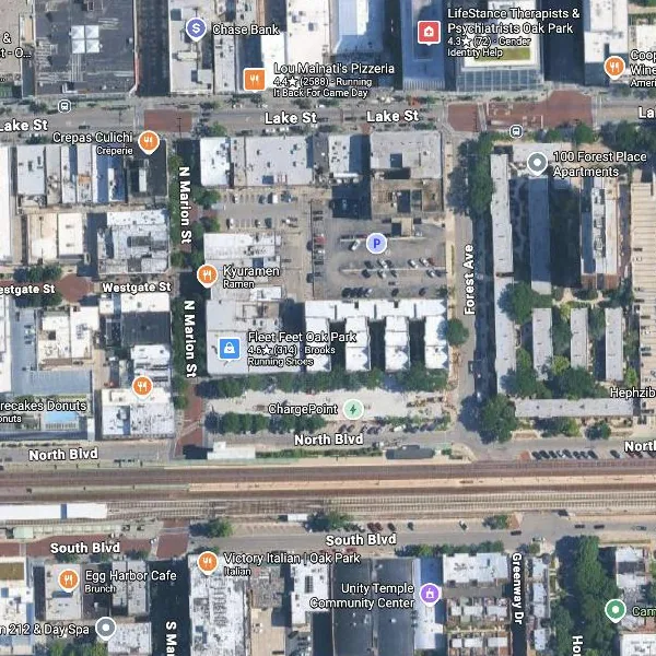 Satellite view of the downtown Oak Park block between Lake Street and North Boulevard